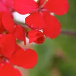 Bed & Breakfast Verdesca Castelluzzo